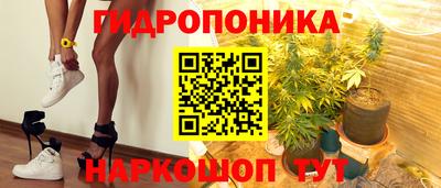 дживик Вышний Волочёк