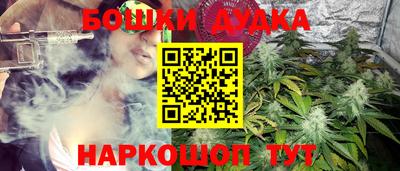 дживик Вышний Волочёк