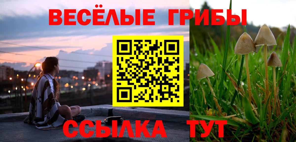 Галлюциногенные грибы прущие грибы  Псилоцибиновые грибы мицелий  Вход с VPN  Выборг 